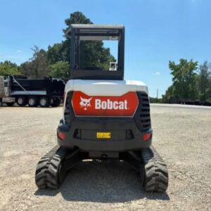Bobcat
